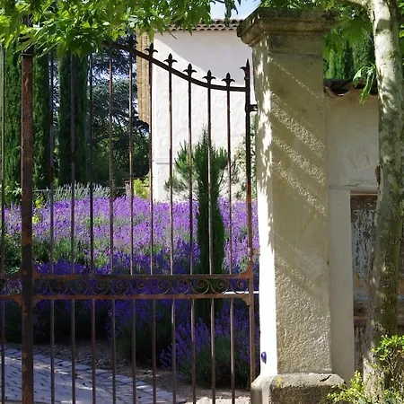 On Dirait Le Sud