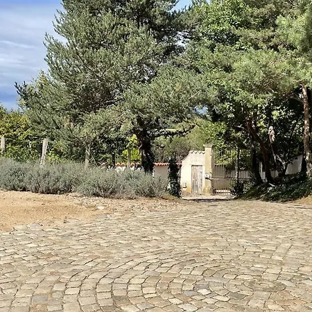 On Dirait Le Sud Apartment *