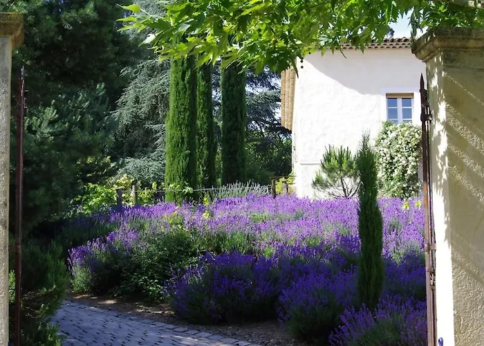 On Dirait Le Sud Andrezieux-Boutheon
